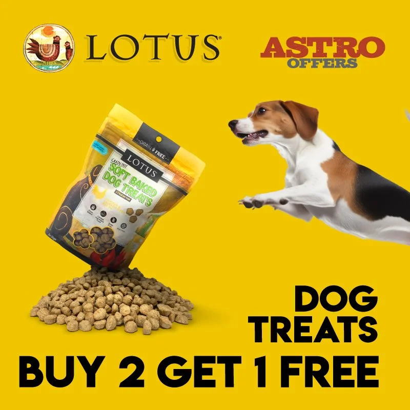 Lotus soft online baked dog treats